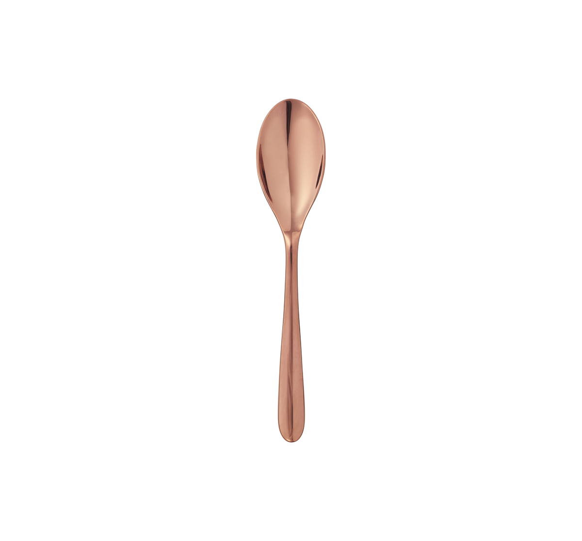 102€_1ERCHOIX_Dessert spoons - Acier