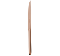 1ERCHOIX_Steak knives - Acier