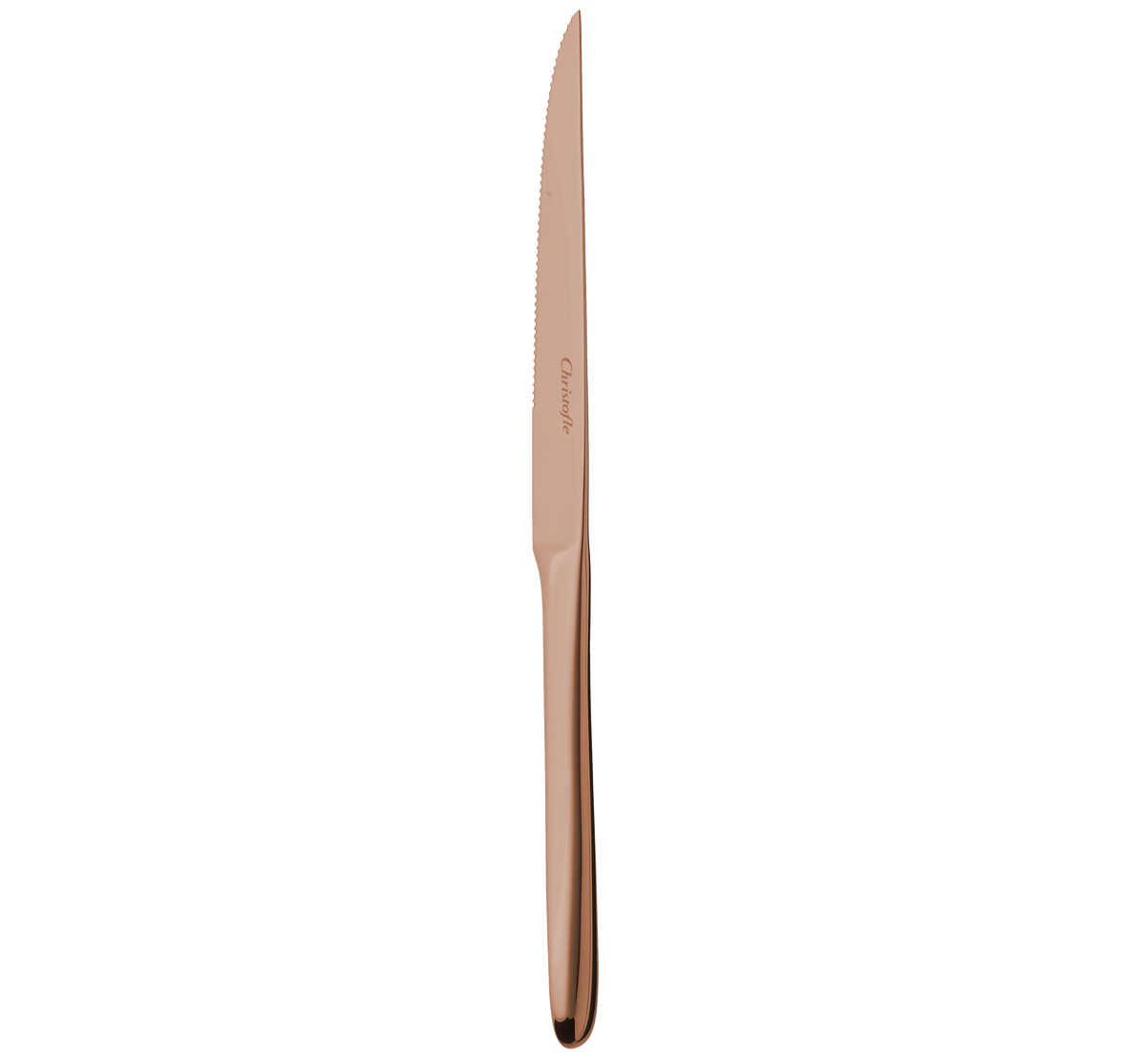 1ERCHOIX_Steak knives - Acier