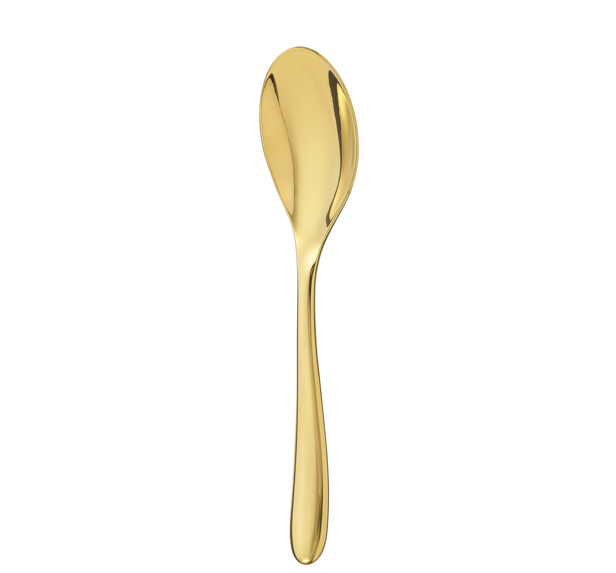 120€_1ERCHOIX_Table spoons - Acier