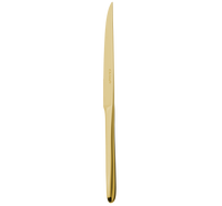1ERCHOIX_Steak knives - Acier