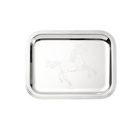 Albi 26x20cm Tray - Silver