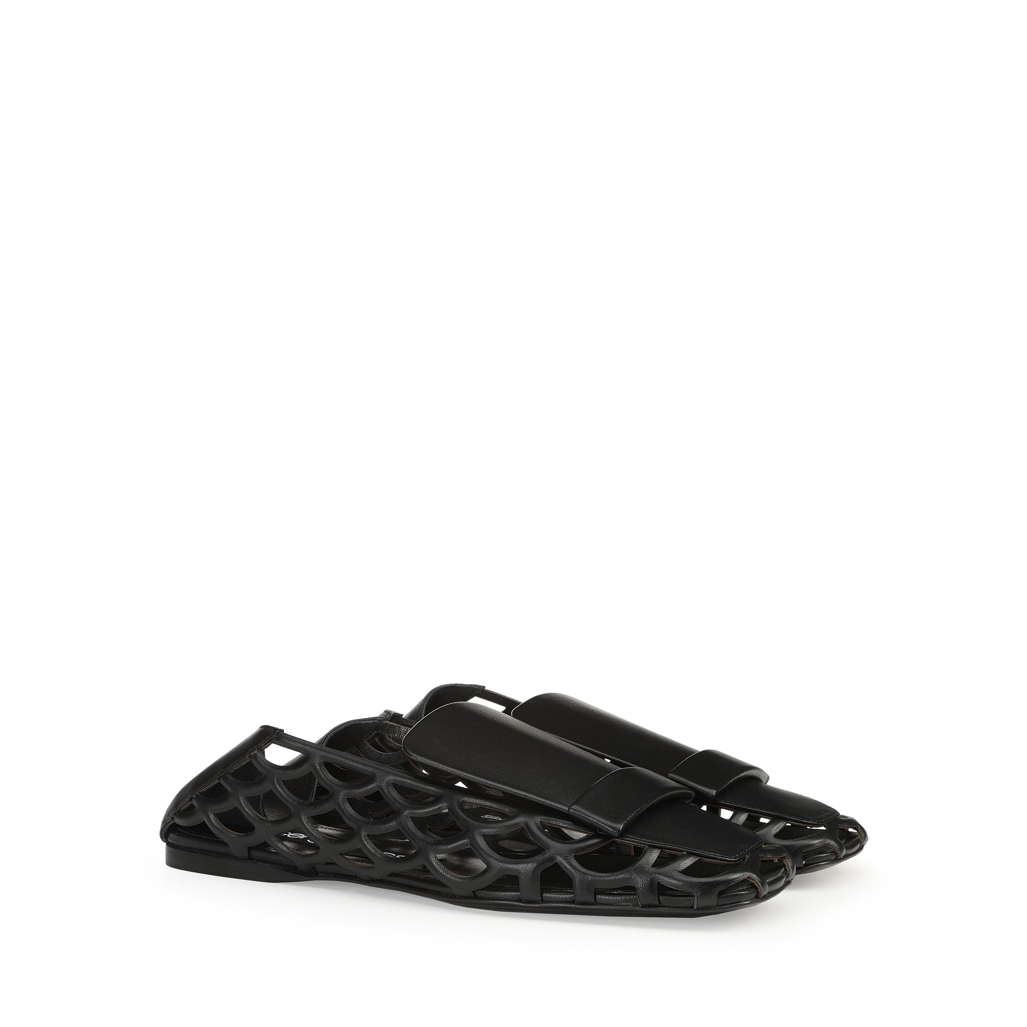 Flat Moccasin