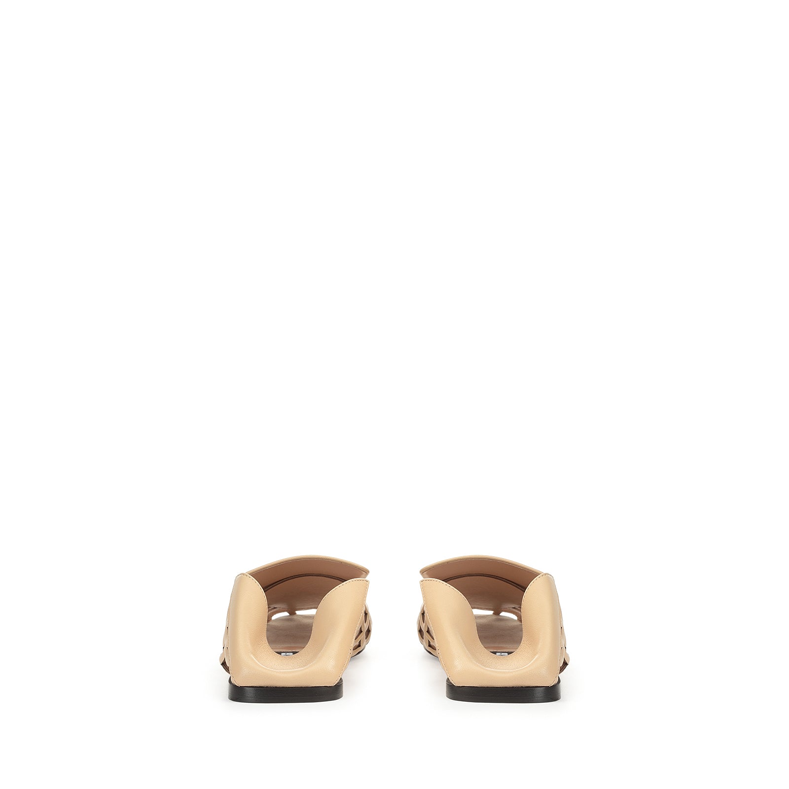 Flat Moccasin