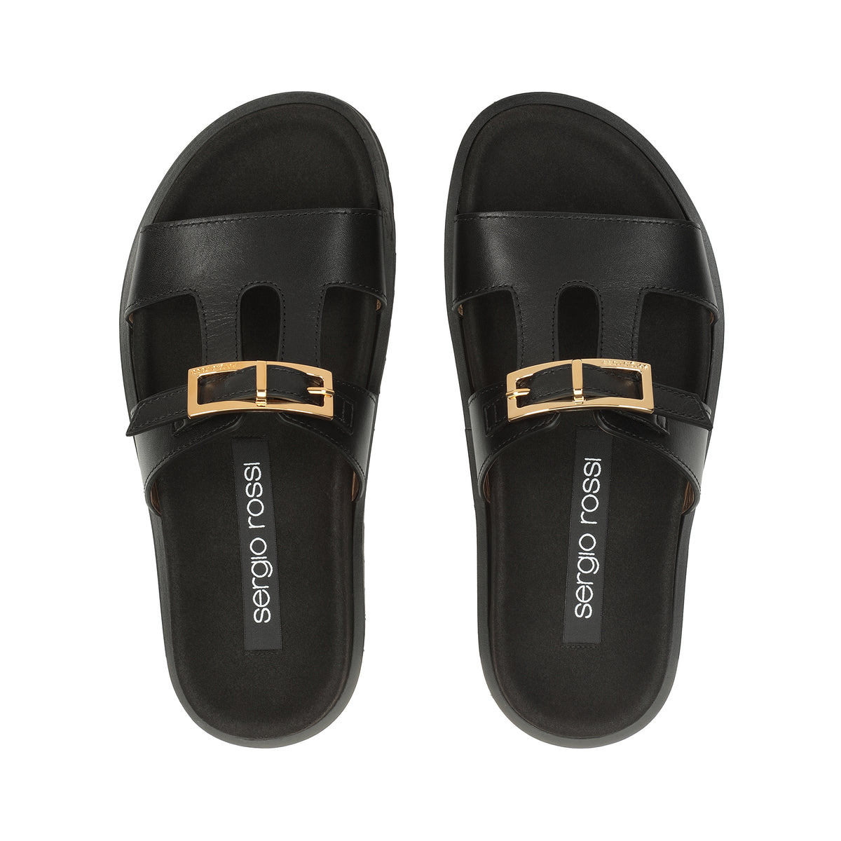 SABOT SR NORA ZAMBIE