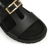 SABOT SR NORA ZAMBIE