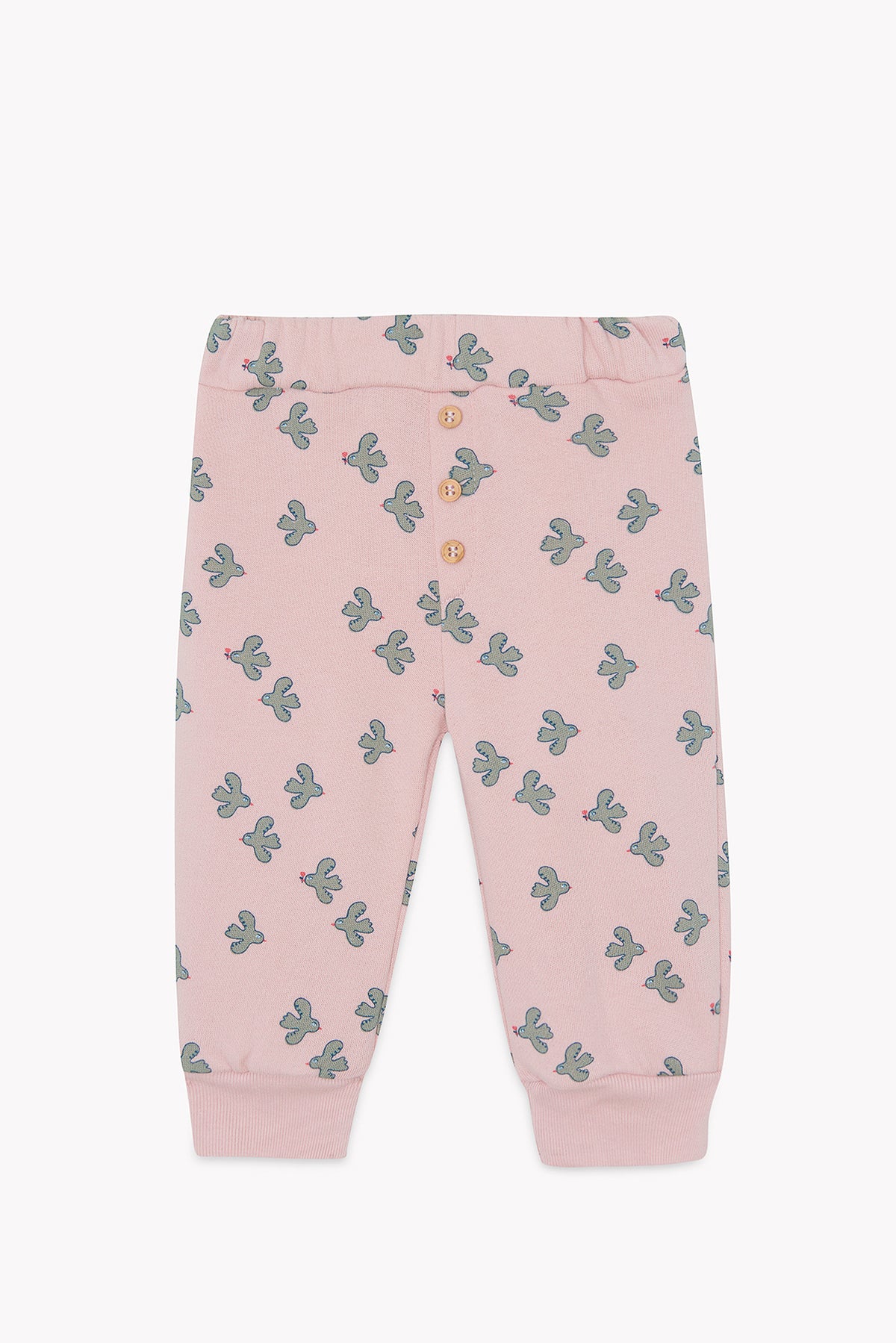 LITTLE BIRDY // LEGERE BIRDY