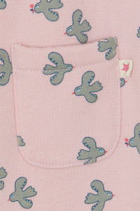 LITTLE BIRDY // LEGERE BIRDY