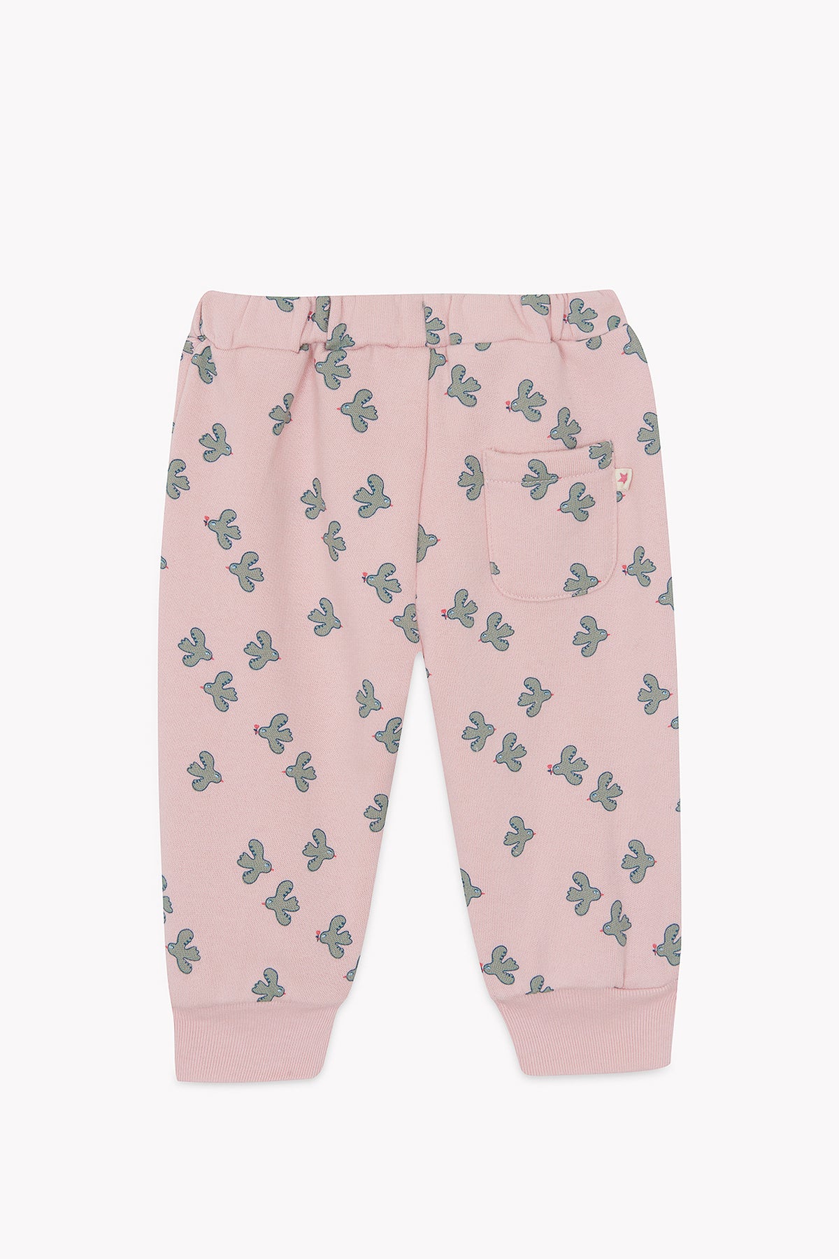 LITTLE BIRDY // LEGERE BIRDY