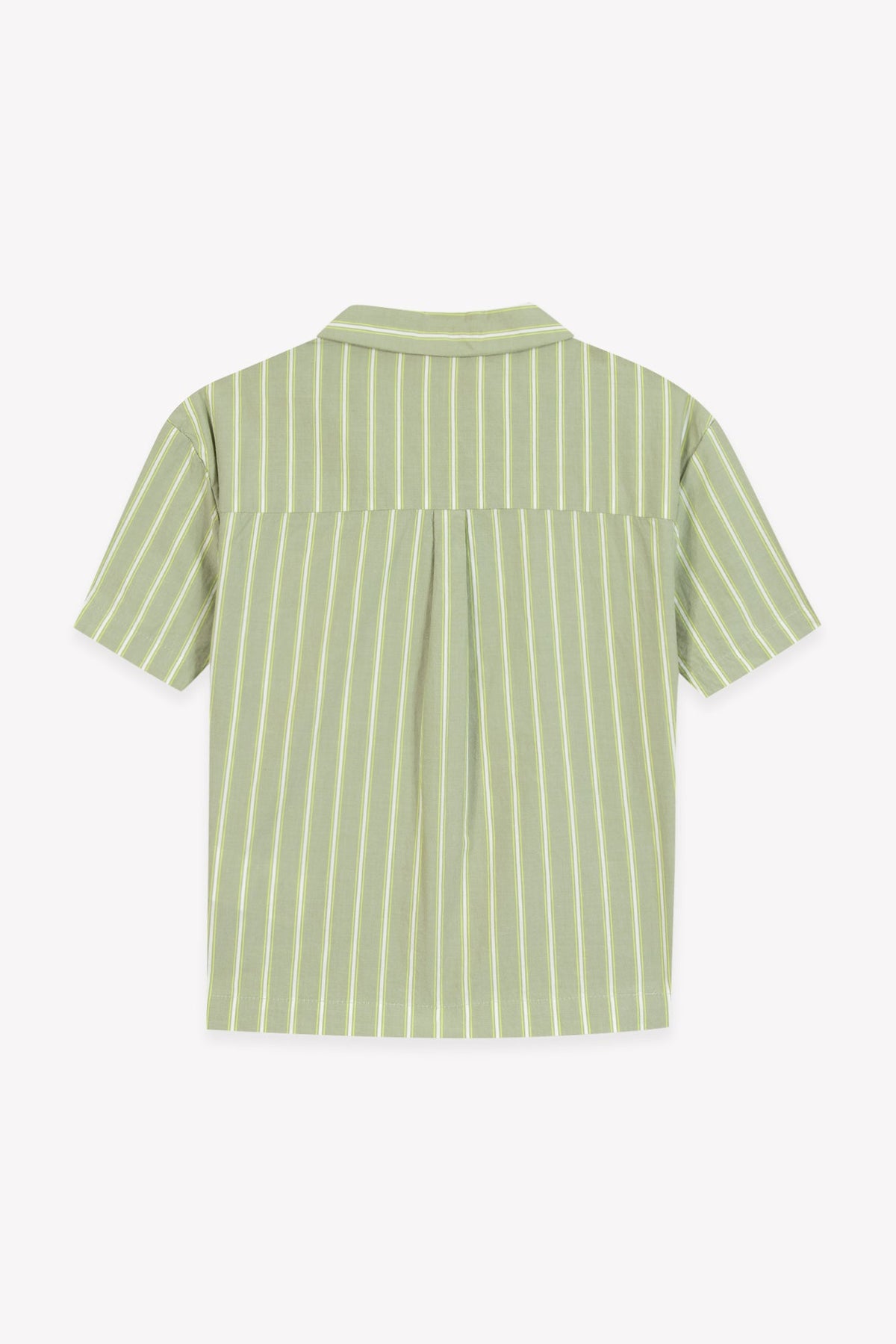 Rayures Kaki // Shirt LasVegas