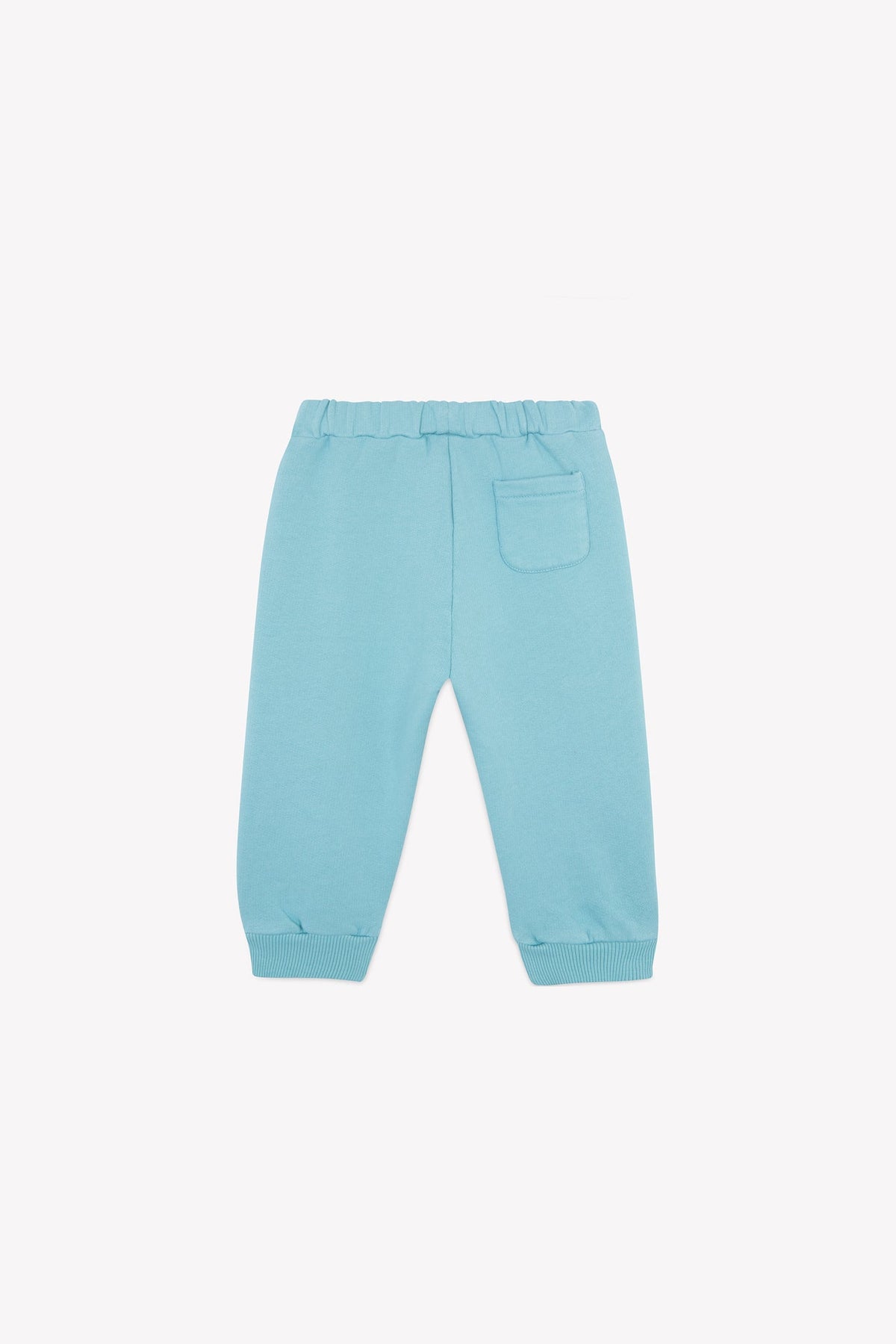 Blue fish // Jogg bb légère