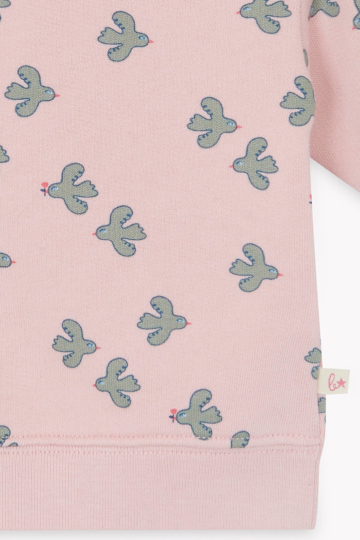 LITTLE BIRDY // LYS BB BIRDY