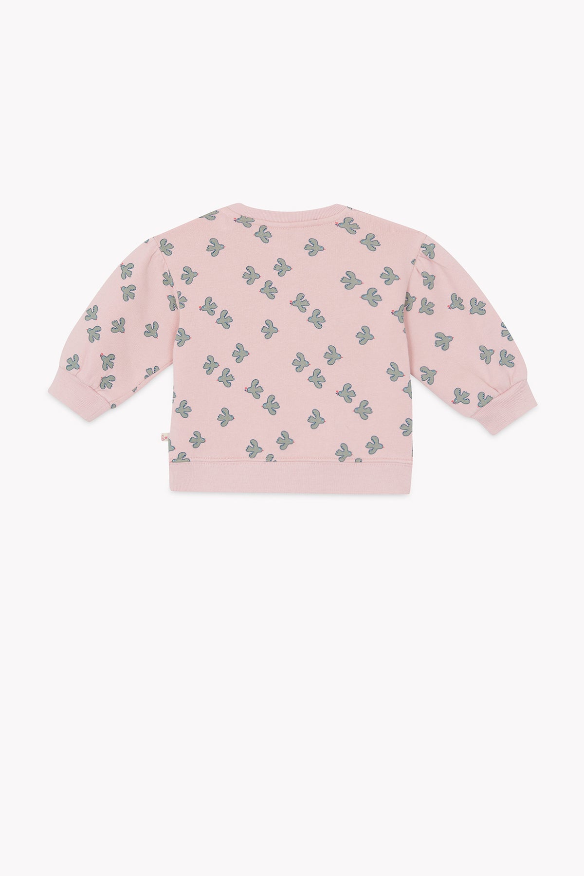 LITTLE BIRDY // LYS BB BIRDY