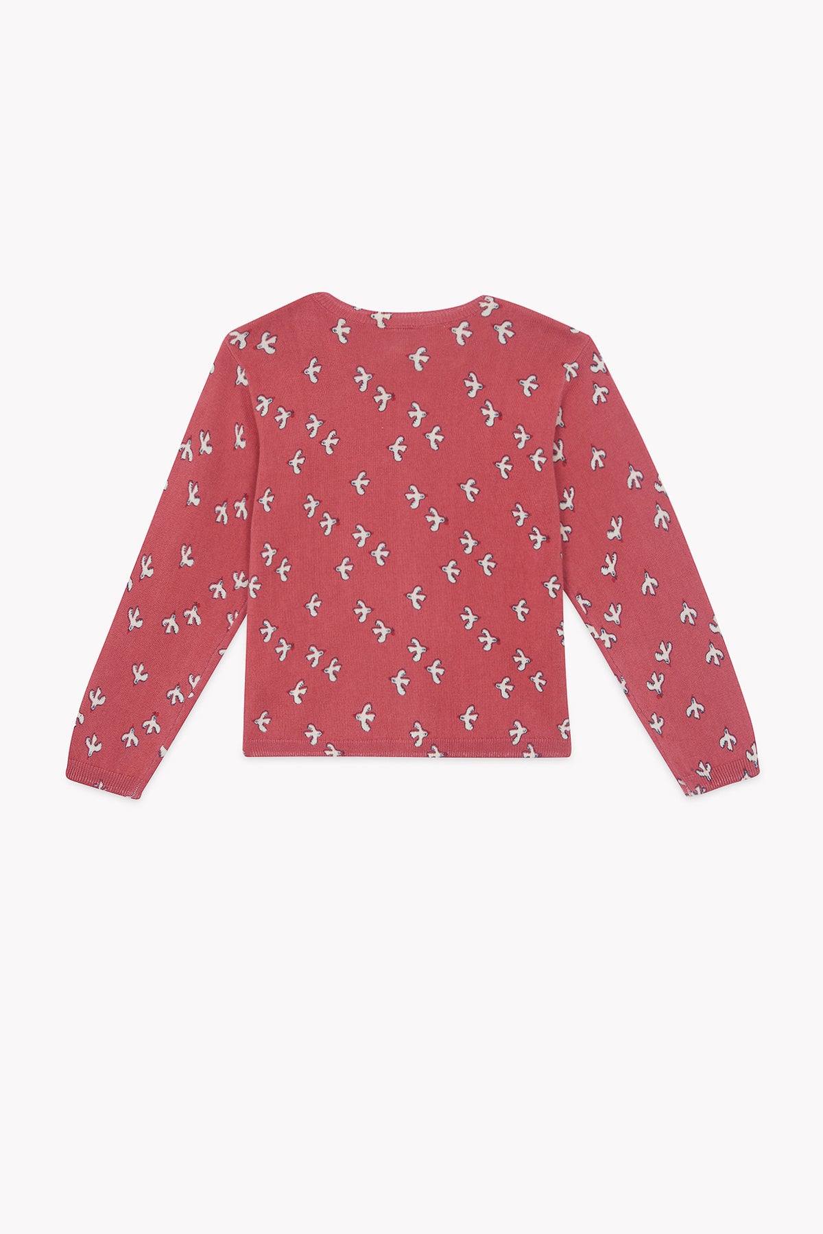 LITTLE BIRDY // LILOU PRINT