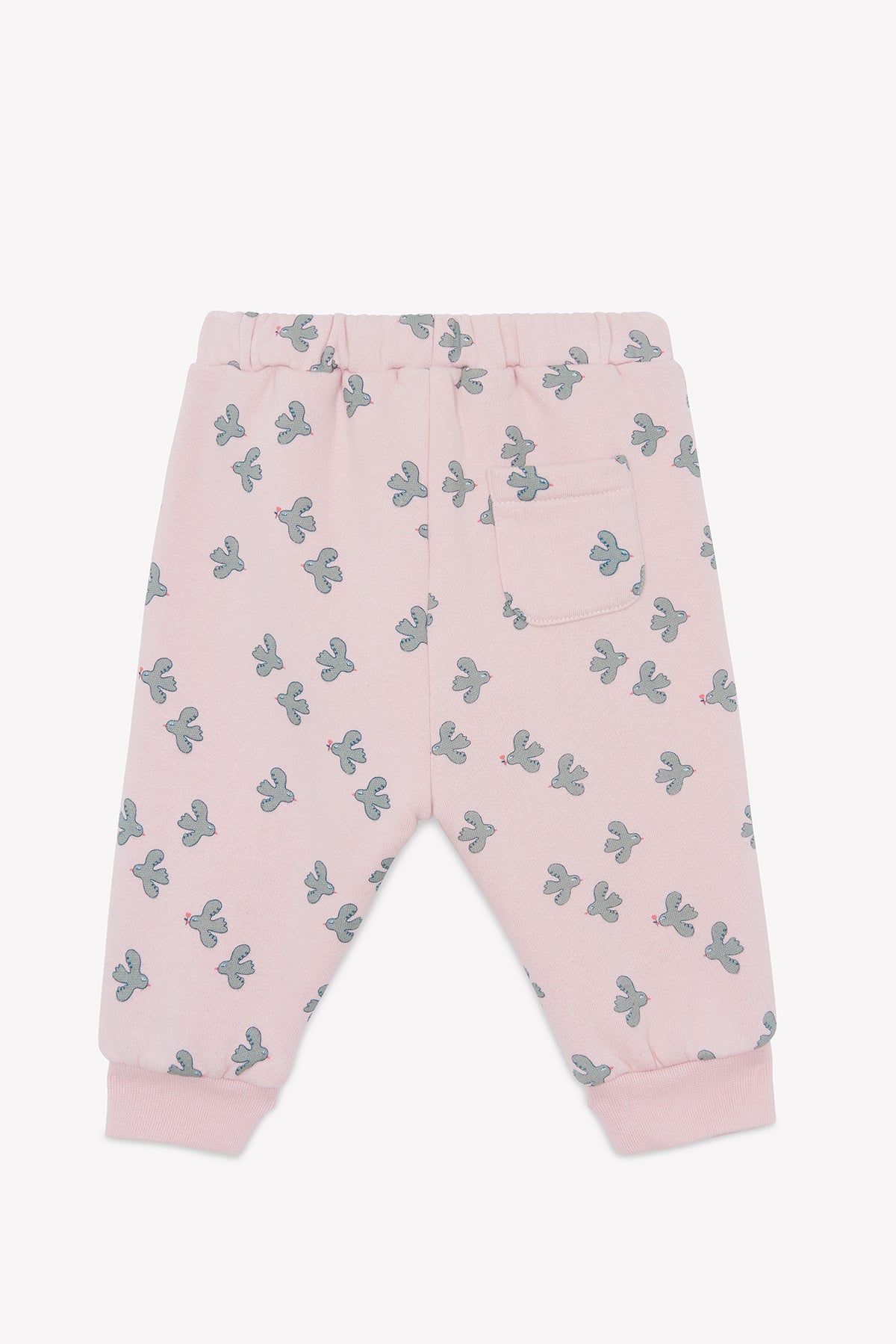 LITTLE BIRDY // LEGERE BIRDY
