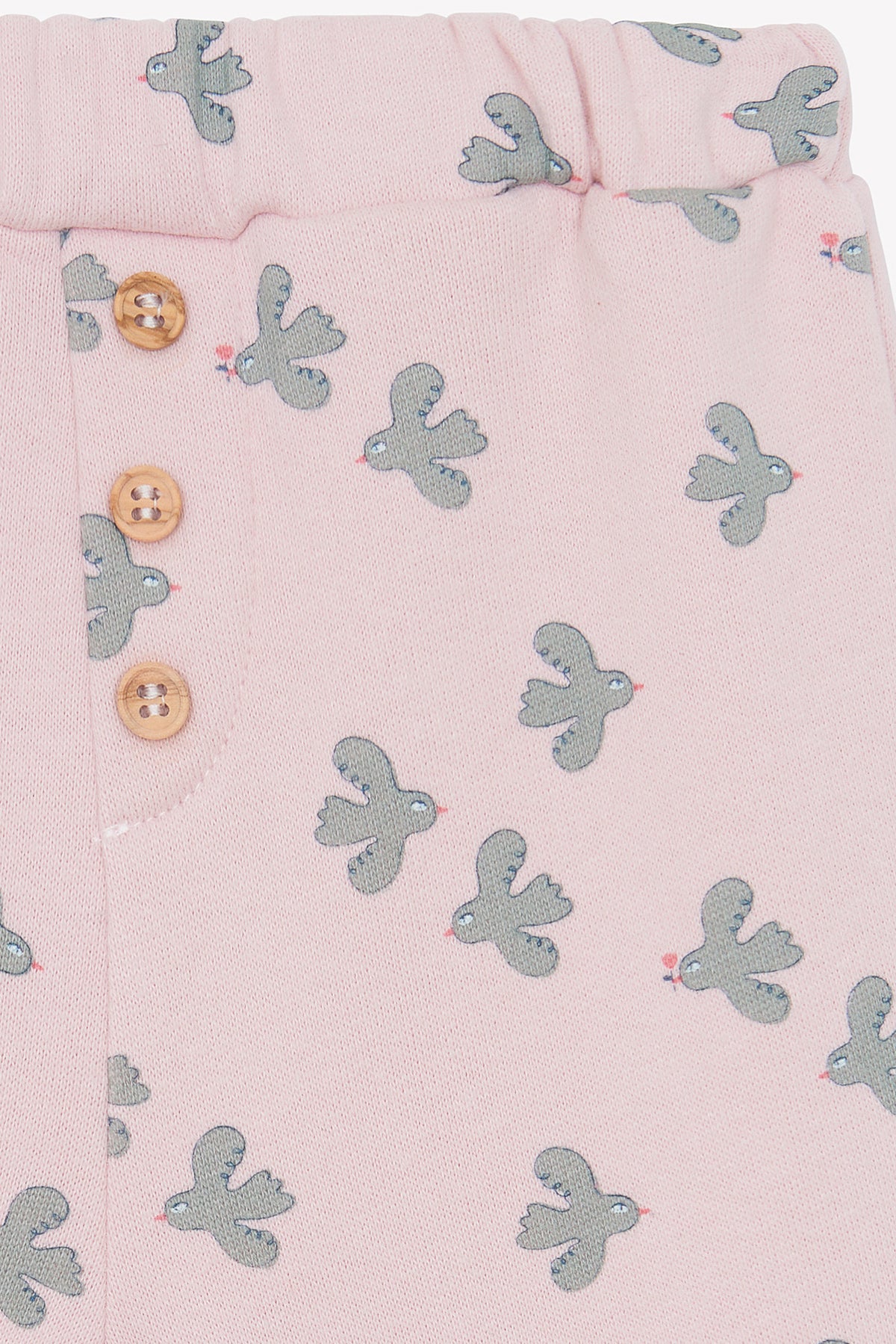 LITTLE BIRDY // LEGERE BIRDY