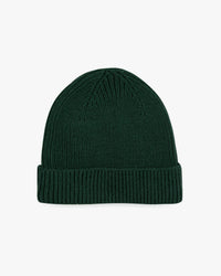Blueberry wool hat - Black Bird