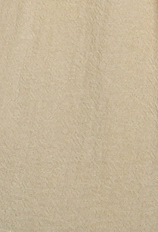 ZNOSTOCK_SAND PANTS BANANA - Sand