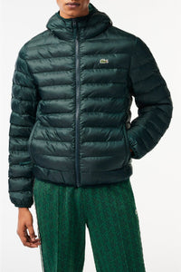 Quilted hooded padded jacket - Sinople