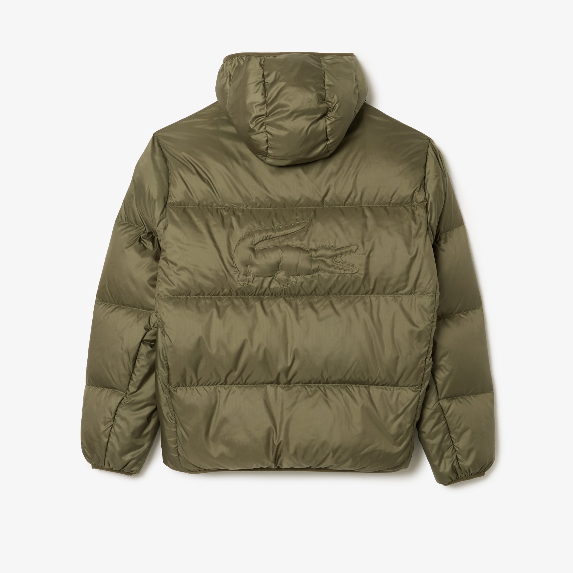 Blouson - Kaki