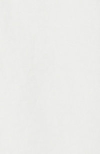 ZNOSTOCK_WHITE ROBE CIGAR LONG - White