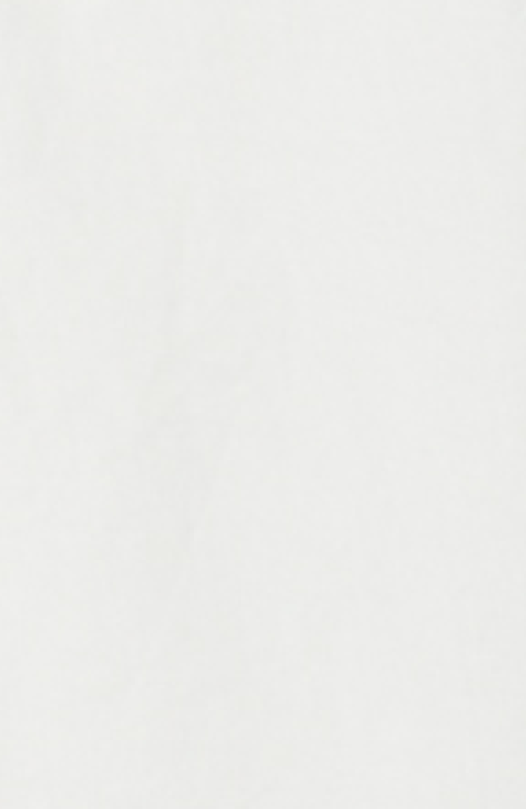 ZNOSTOCK_WHITE ROBE CIGAR LONG - White