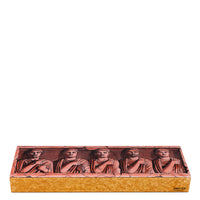 Box 300 Probiviri - Pink