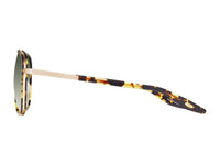 Sunglasses Cani - Dark Havana & Gradient Green