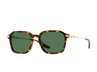 Sunglasses Delon - Dark Havana & Green