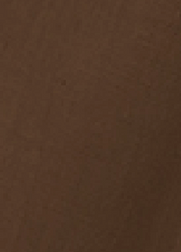 ZNOSTOCK_BROWN SHIRT FOG - Brown