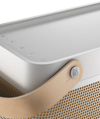Enceinte bluetooth portable puissante Beolit 20 - Gris