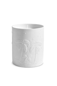 Bougie Palmier Mojave Haas Brothers en porcelaine - Blanc