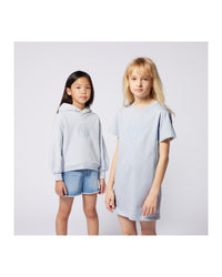 Sweatshirt à capuche - Bleu Delave