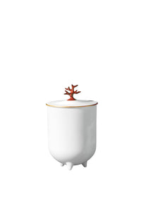 Coral Candle