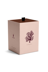 Bougie sur pied Apothecary en porcelaine - Corail