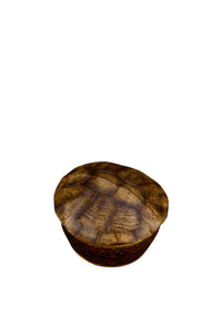 Porcelain turtle candle - Brown