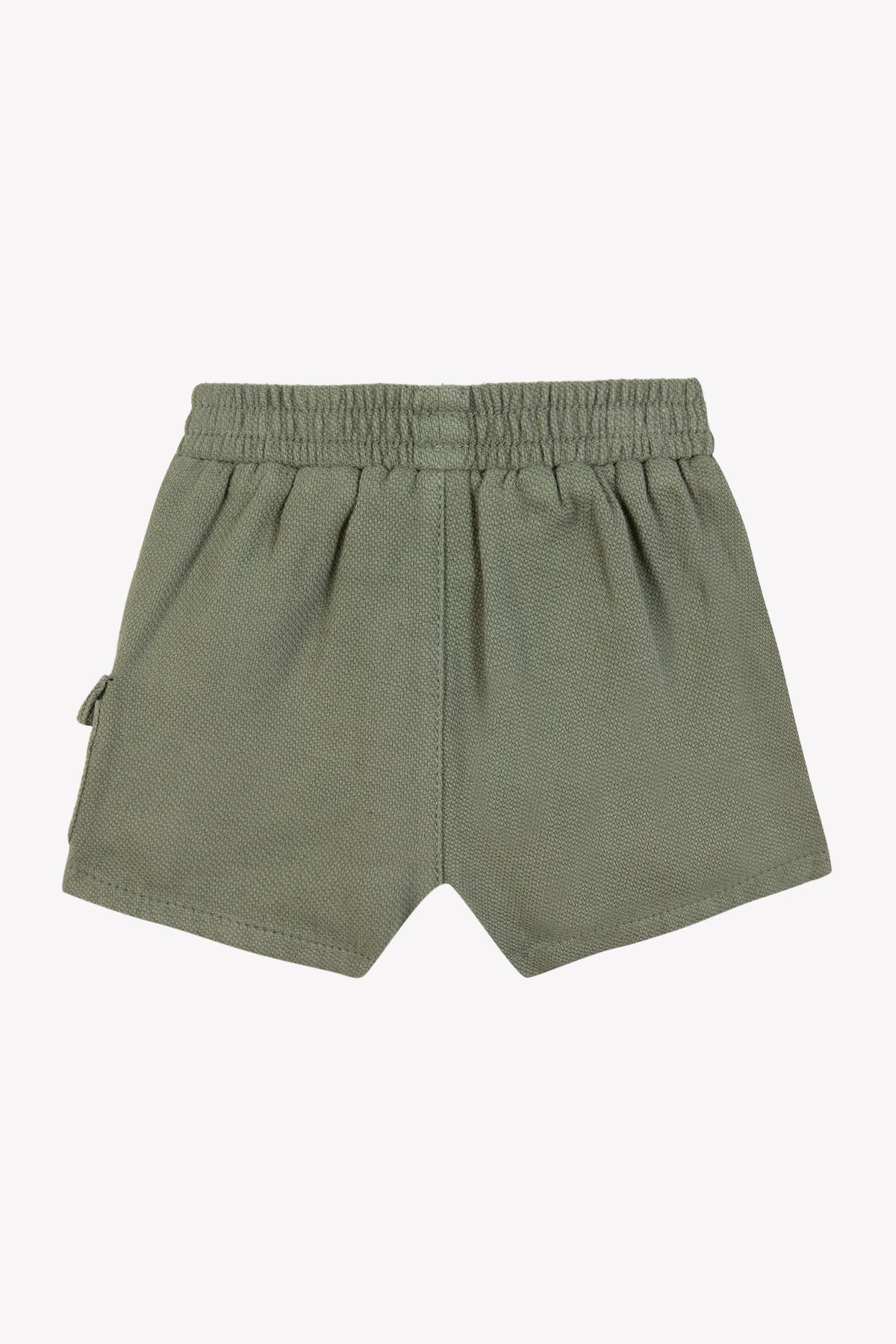 Short - Fougère