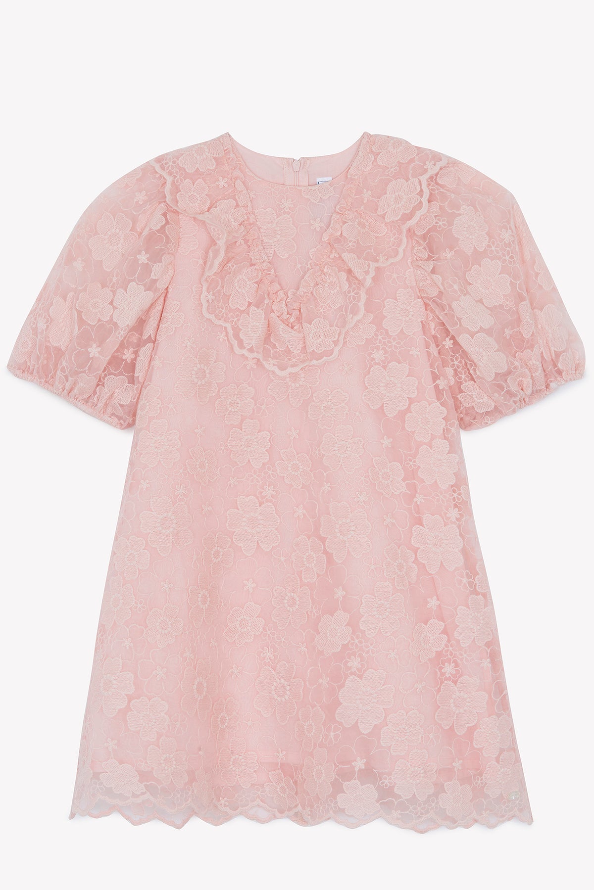 Robe - Rose ancien