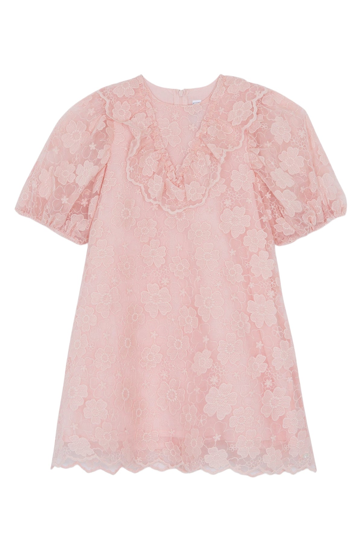 Robe - Rose ancien