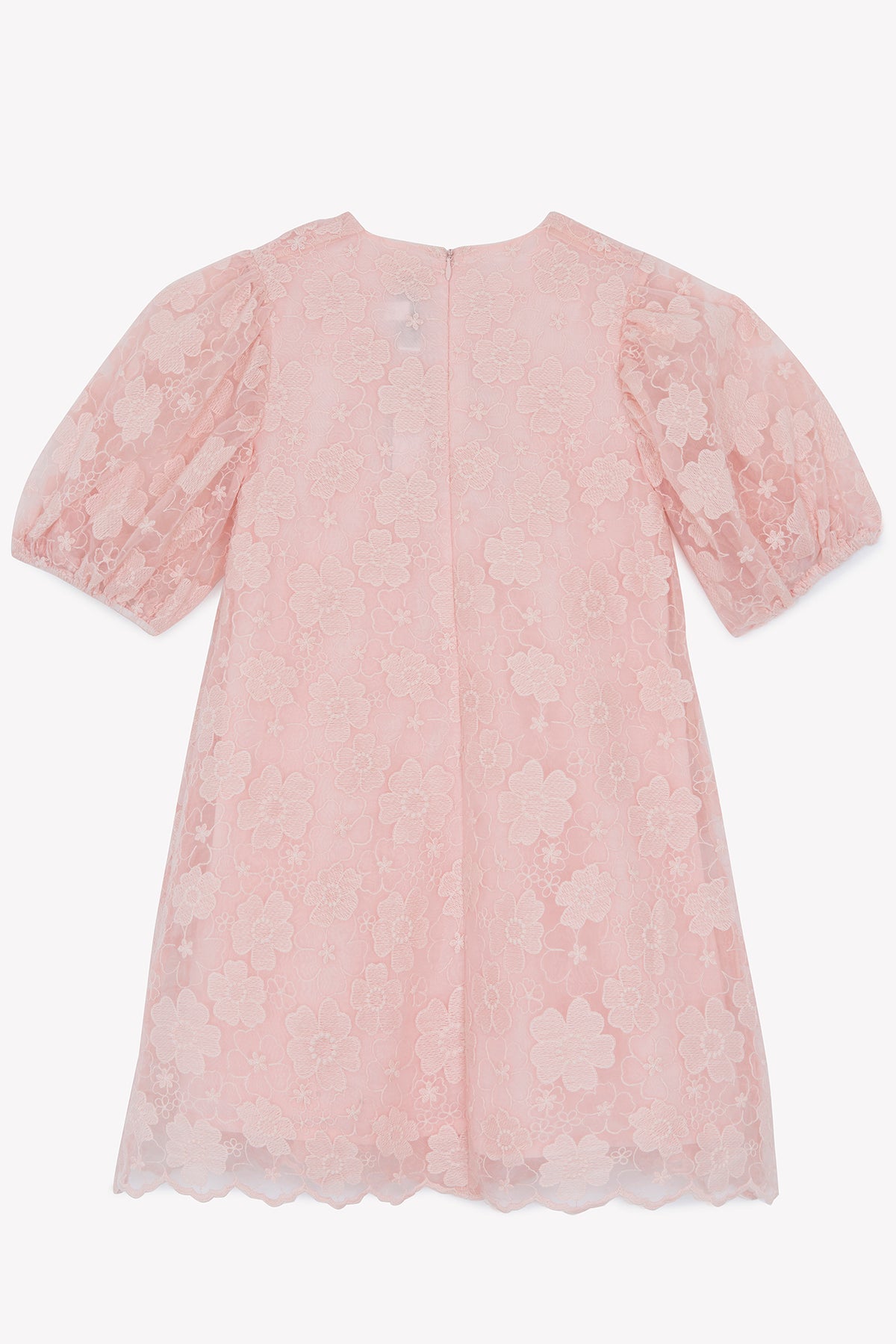 Robe - Rose ancien