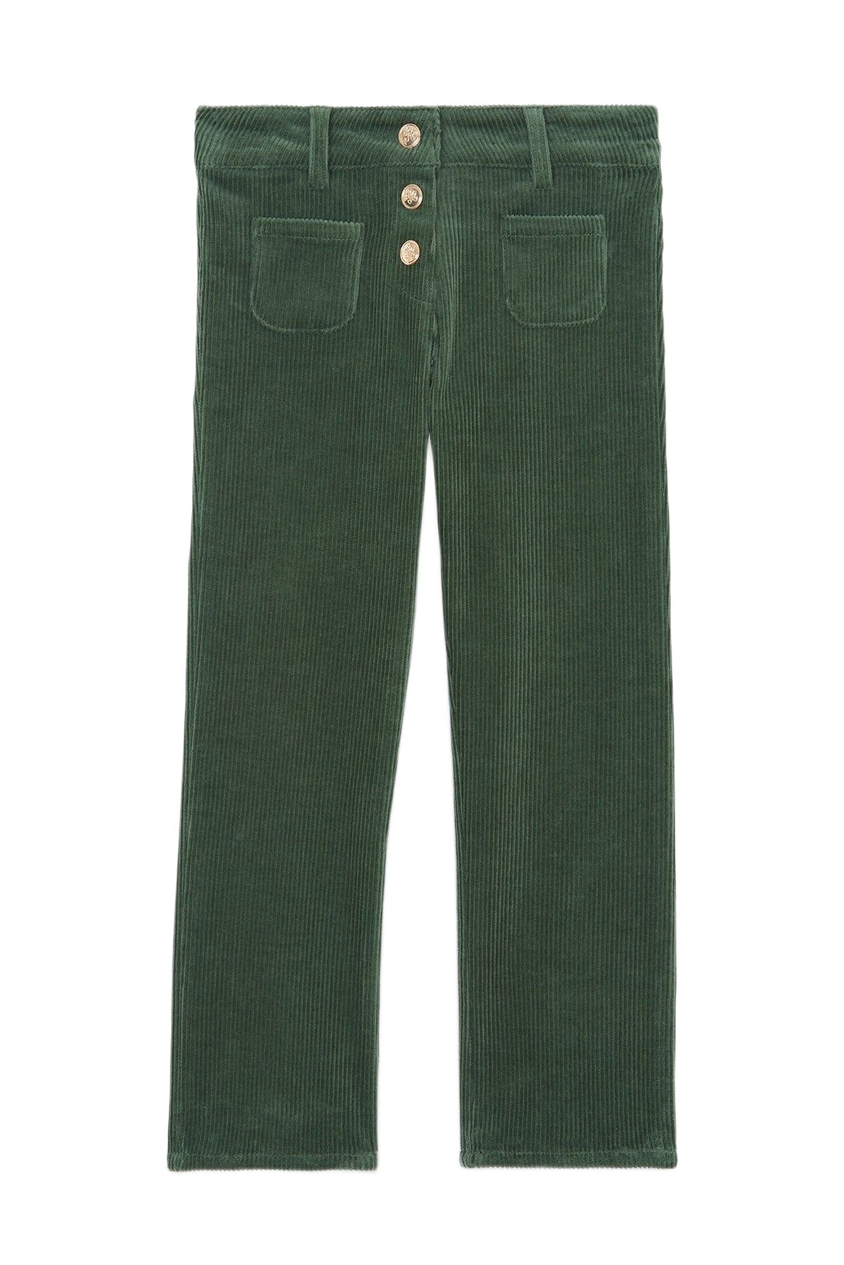 Pantalon - Vert de gris en velours