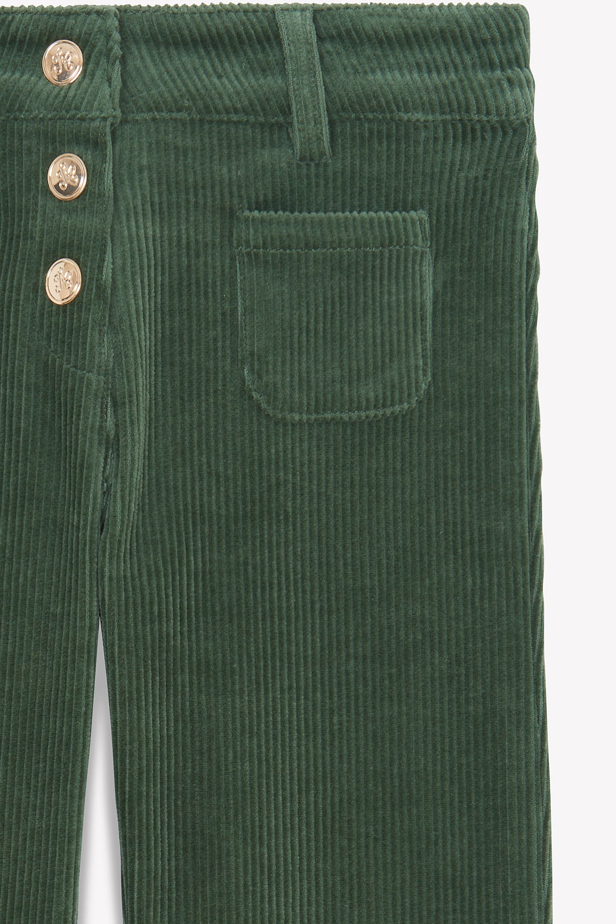 Vert De Gris / Pantalon - Vert De Gris En Velours