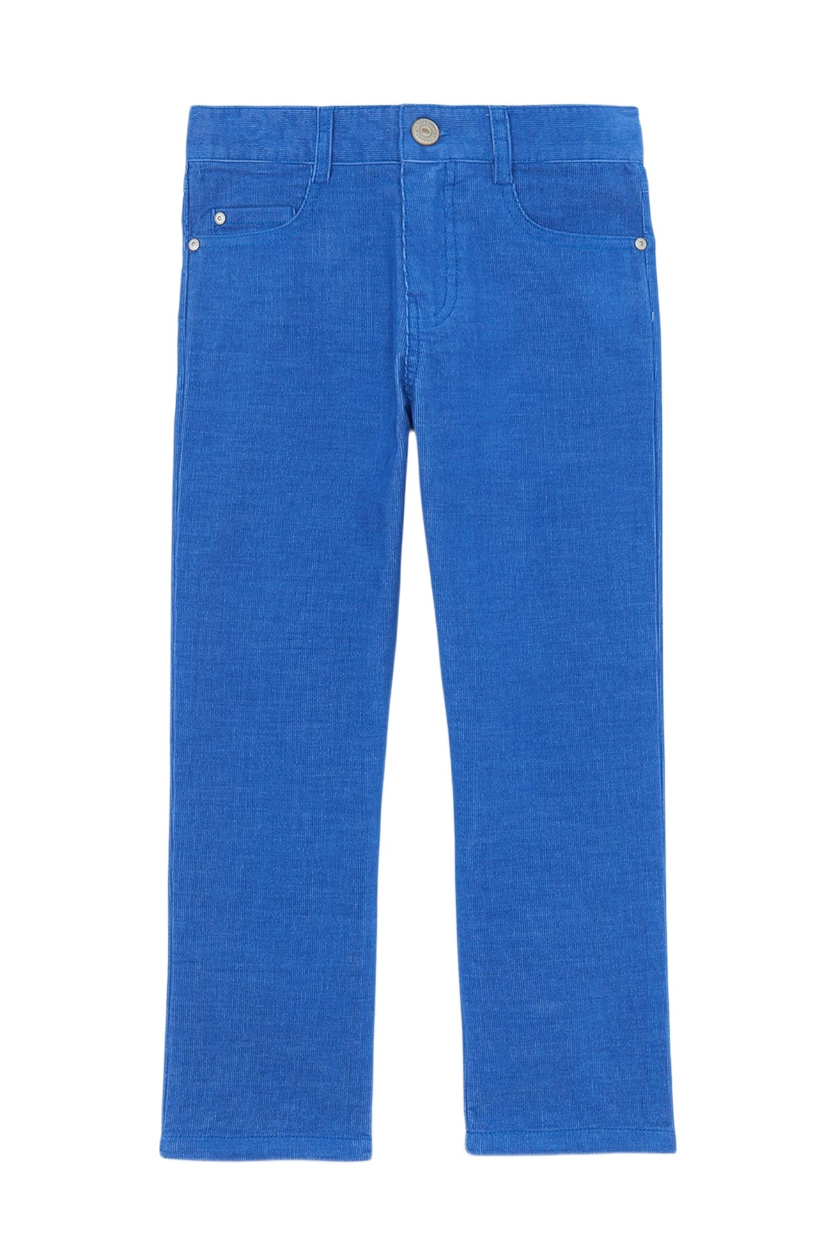 Pantalon - Bleu électrique en velours