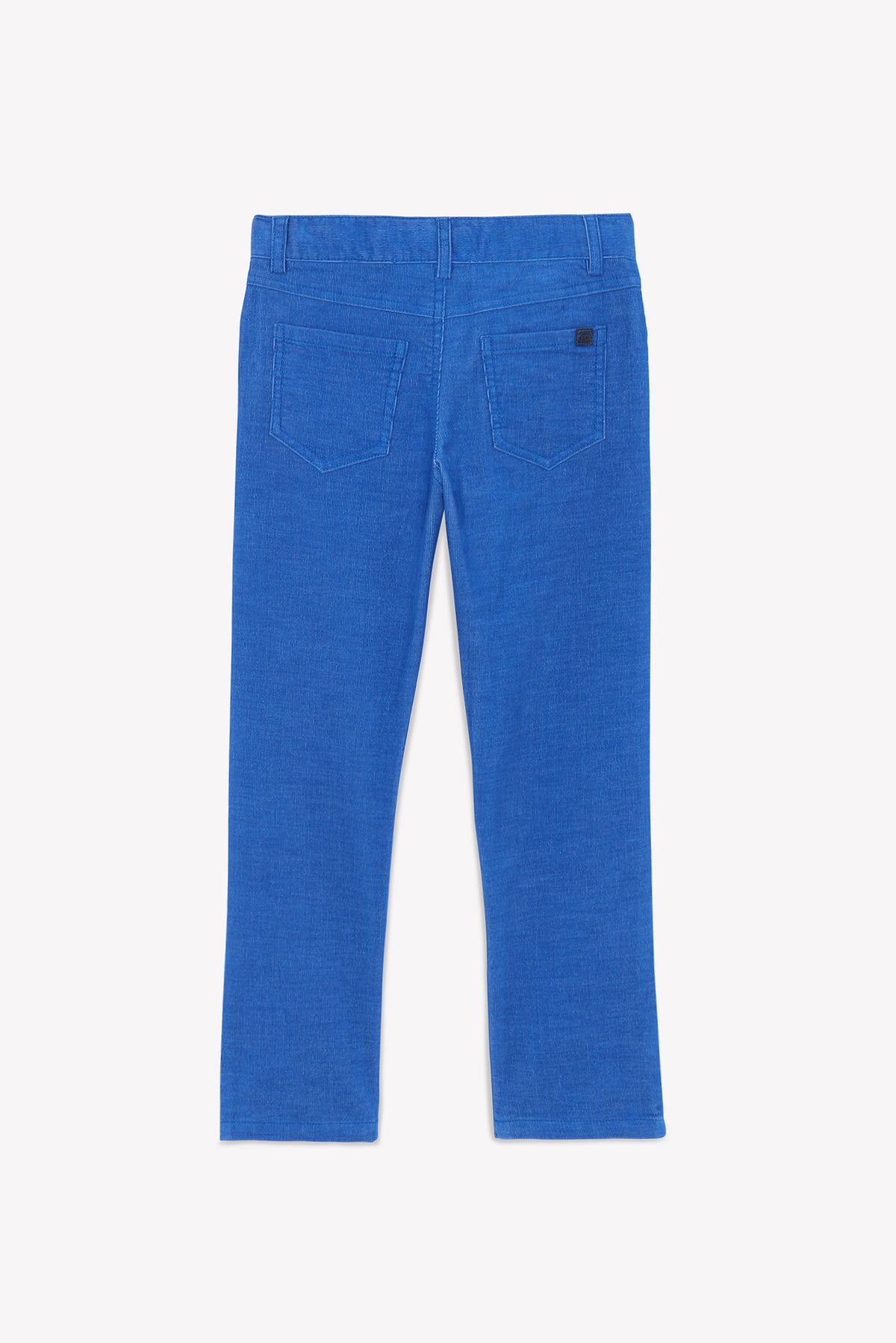 Bleu Électrique / Pantalon - Bleu Électrique En Velours