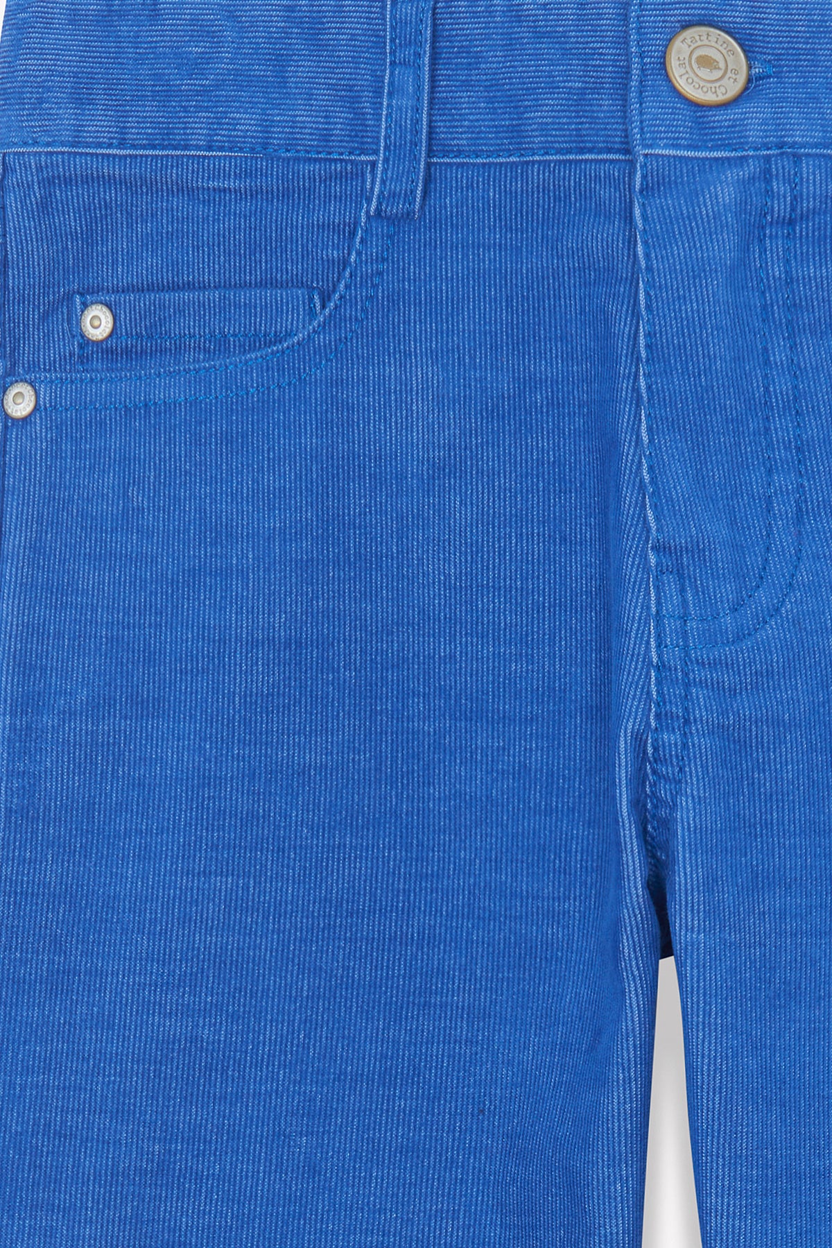 Bleu Électrique / Pantalon - Bleu Électrique En Velours
