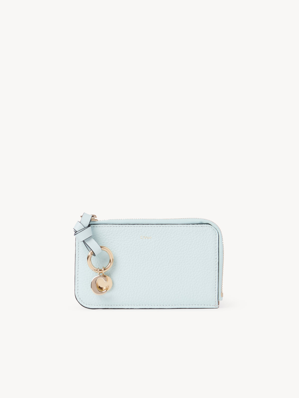 Skylight Blue SMALL PURSE - Skylight Blue