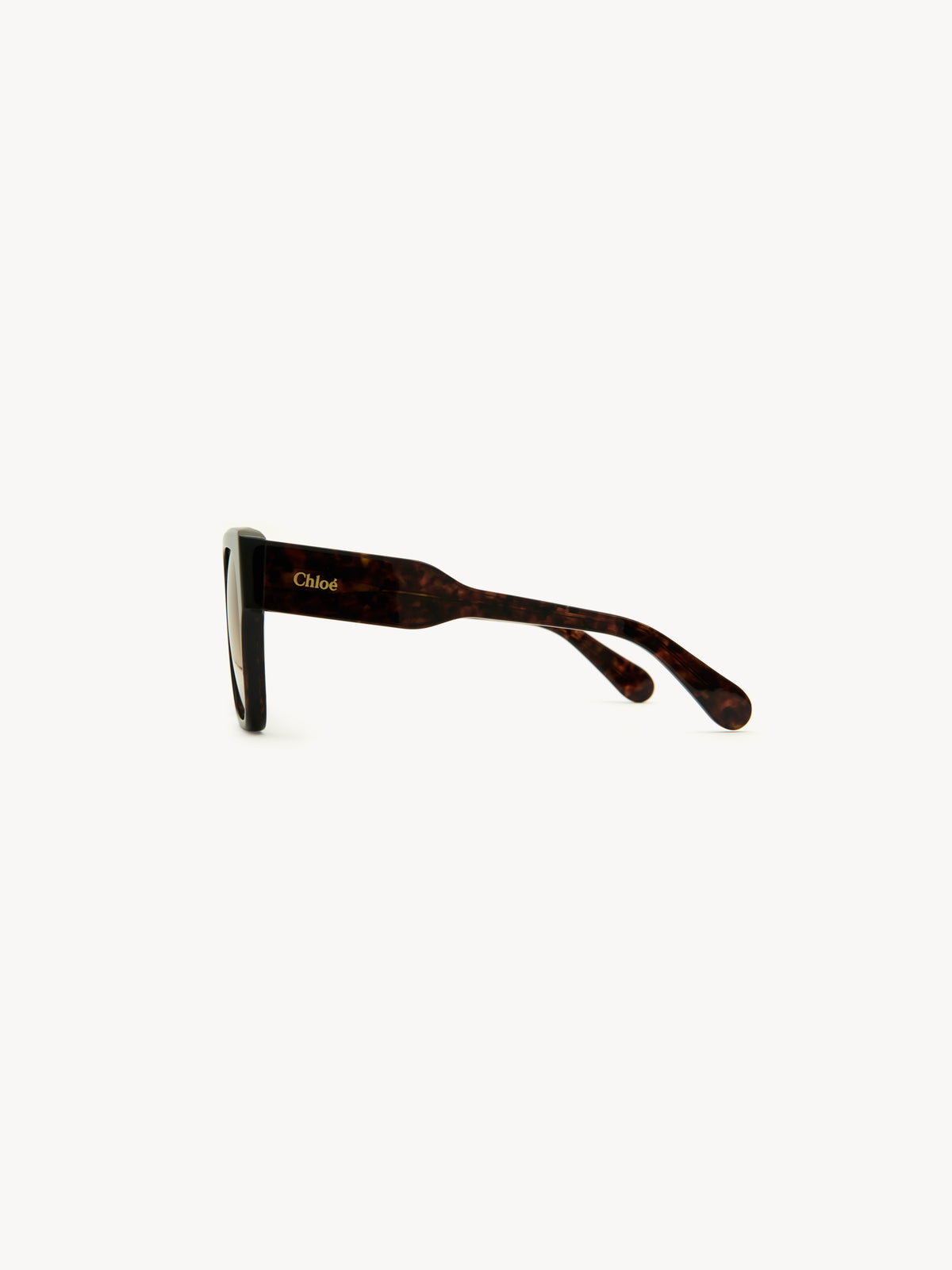 Dark Havana SUNGLASSES - Dark Havana