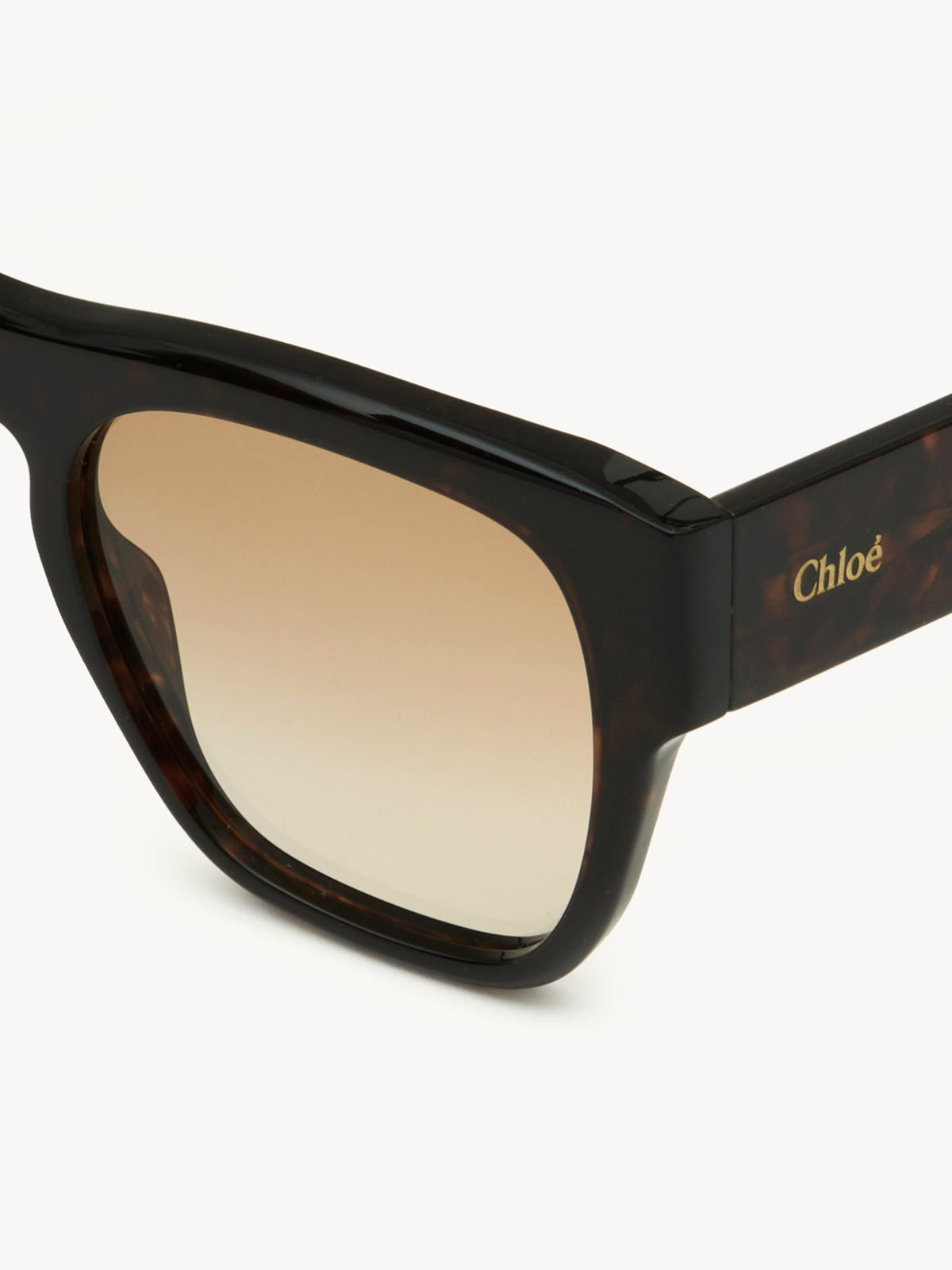 Dark Havana SUNGLASSES - Dark Havana