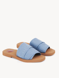 Washed Blue SLIDES - Washed Blue