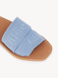 Washed Blue SLIDES - Washed Blue